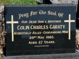 image of grave number 891312